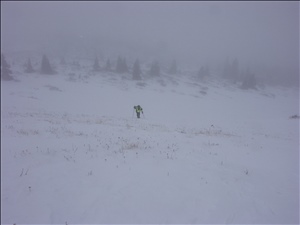 041229 coPICT0290.jpg